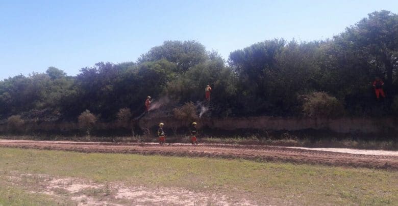 WhatsApp Image 2017 11 25 at 8.00.48 PM - Diario Resumen de la región
