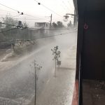 WhatsApp Image 2017 11 29 at 16.27.35 - Diario Resumen de la región