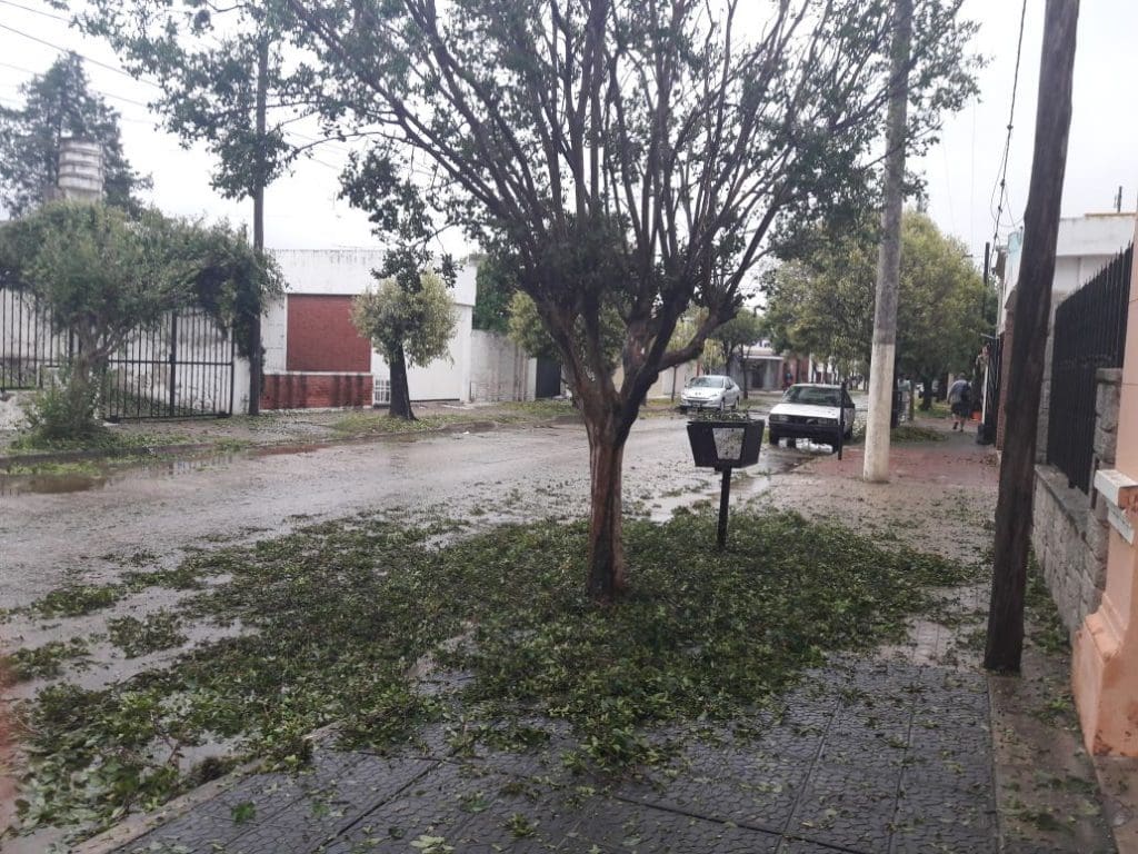 WhatsApp Image 2017 11 29 at 17.45.36 - Diario Resumen de la región