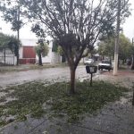 WhatsApp Image 2017 11 29 at 17.45.36 - Diario Resumen de la región