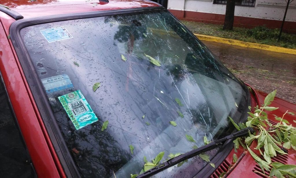 WhatsApp Image 2017 11 29 at 18.21.49 - Diario Resumen de la región