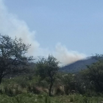 Incendio - Diario Resumen de la región