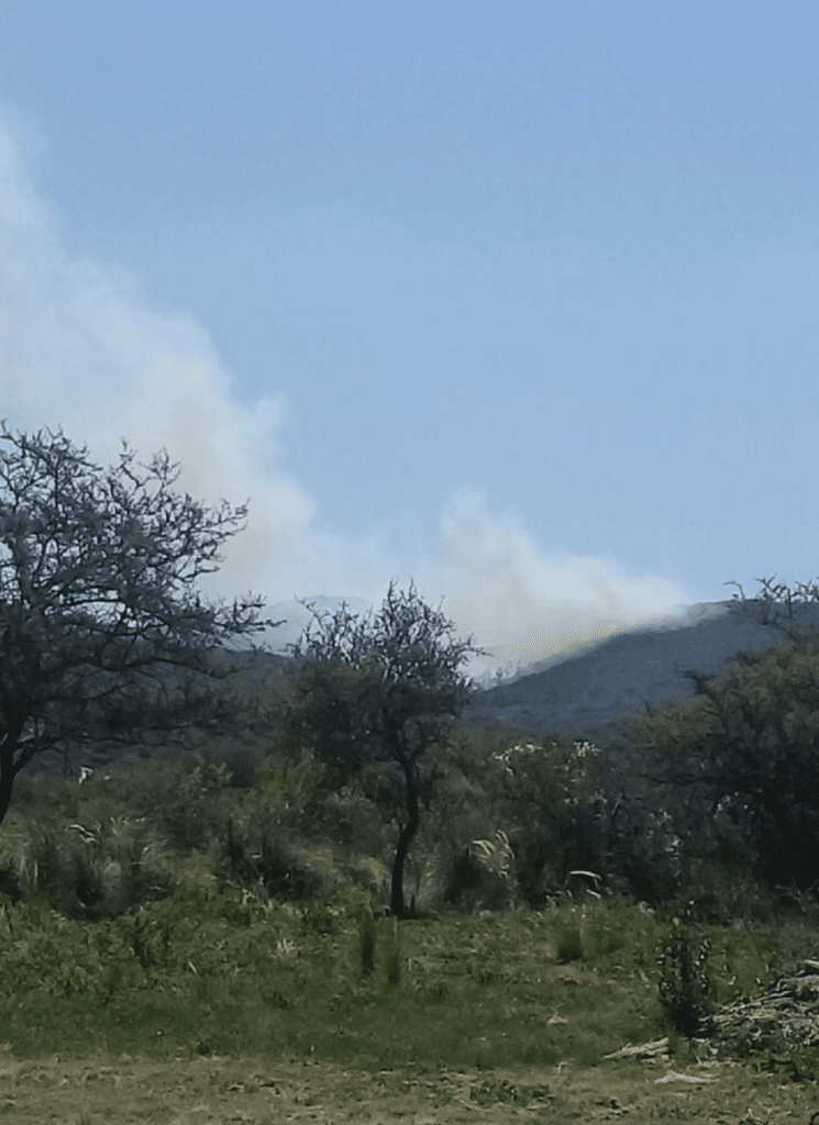 Incendio - Diario Resumen de la región