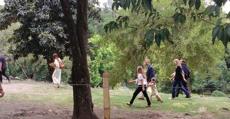 MACRI CUATRO - Diario Resumen de la región