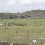 WhatsApp Image 2017 12 05 at 10.33.06 AM - Diario Resumen de la región