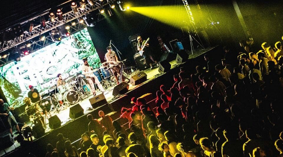 WhatsApp Image 2017 12 05 at 6.45.00 PM - Diario Resumen de la región