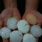 WhatsApp Image 2017 12 16 at 22.26.55 - Diario Resumen de la región