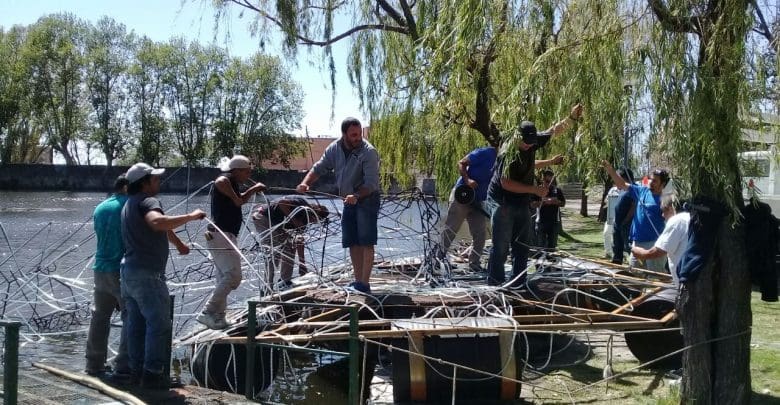 WhatsApp Image 2017 12 17 at 16.29.07 - Diario Resumen de la región
