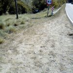 WhatsApp Image 2017 12 18 at 05.06.05 - Diario Resumen de la región