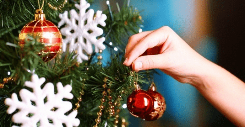 arbolito.navidad A - Diario Resumen de la región