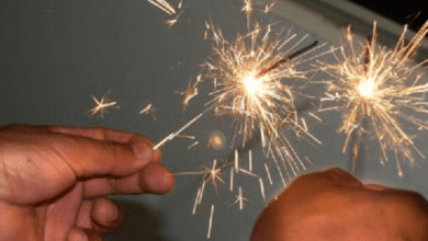 pirotecnia foto A - Diario Resumen de la región