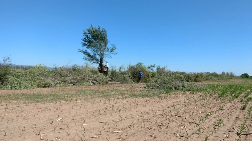 WhatsApp Image 2018 01 04 at 12.27.22 - Diario Resumen de la región