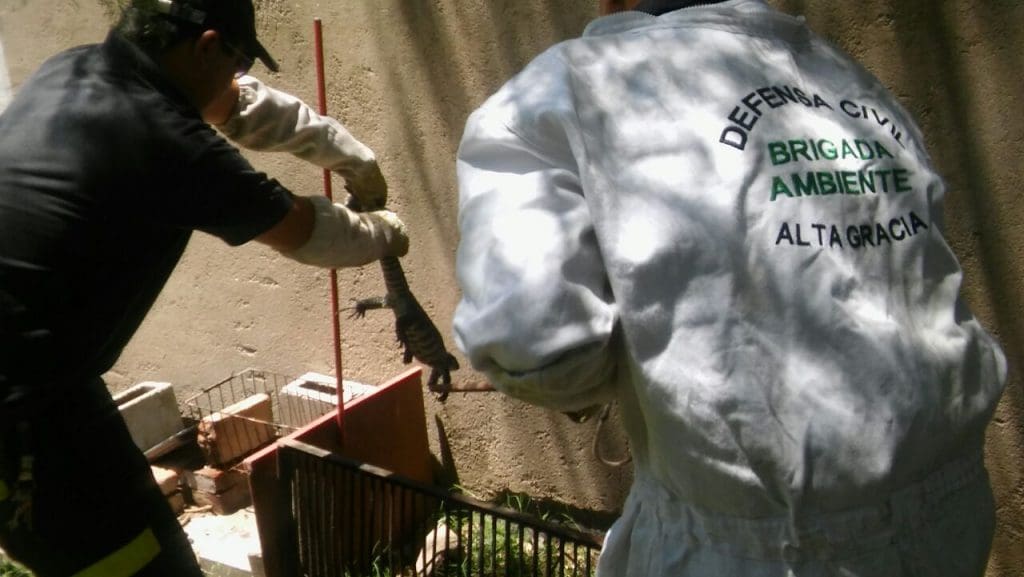 WhatsApp Image 2018 01 04 at 15.22.22 - Diario Resumen de la región