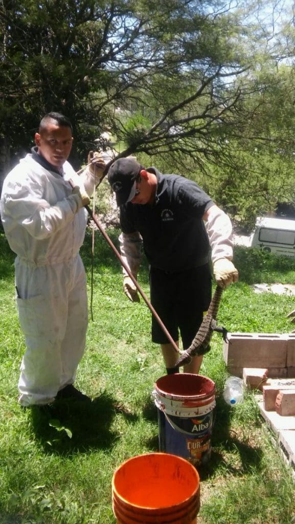 WhatsApp Image 2018 01 04 at 15.22.25 1 - Diario Resumen de la región