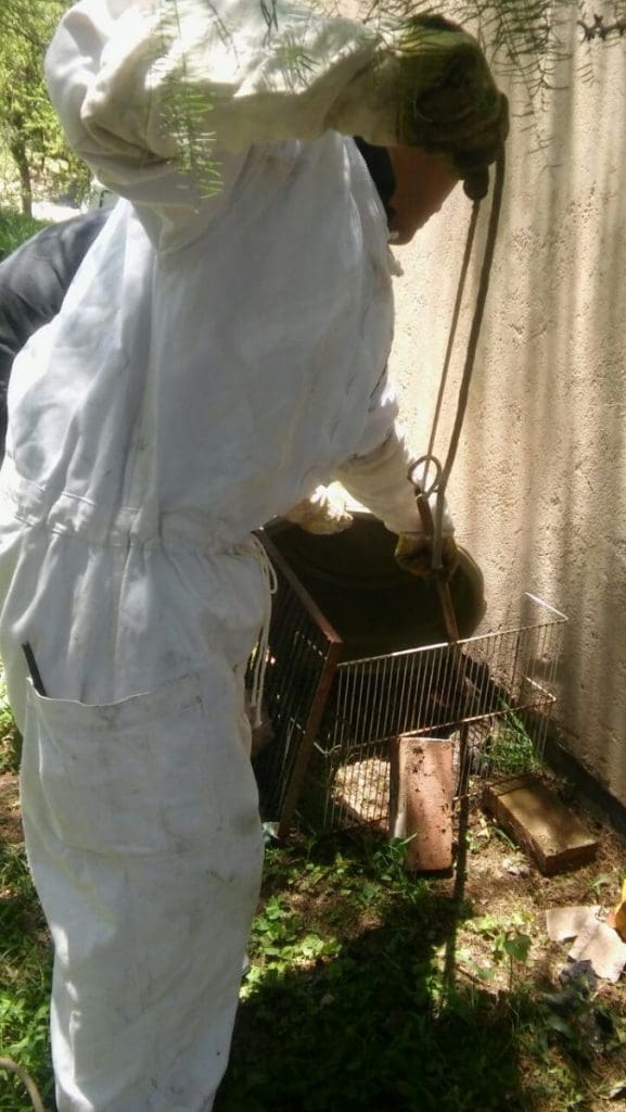 WhatsApp Image 2018 01 04 at 15.22.25 - Diario Resumen de la región