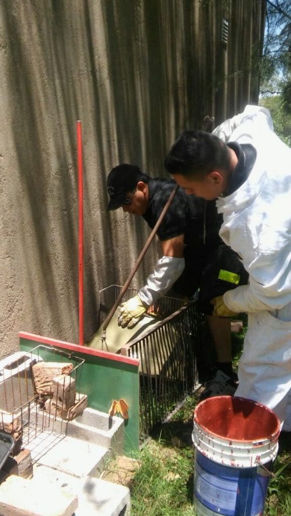 WhatsApp Image 2018 01 04 at 15.22.26 - Diario Resumen de la región