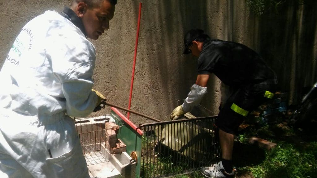 WhatsApp Image 2018 01 04 at 15.22.27 - Diario Resumen de la región