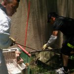 WhatsApp Image 2018 01 04 at 15.22.27 - Diario Resumen de la región