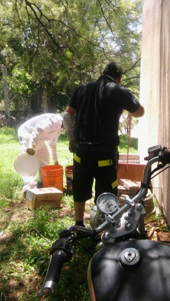 WhatsApp Image 2018 01 04 at 15.22.28 1 - Diario Resumen de la región