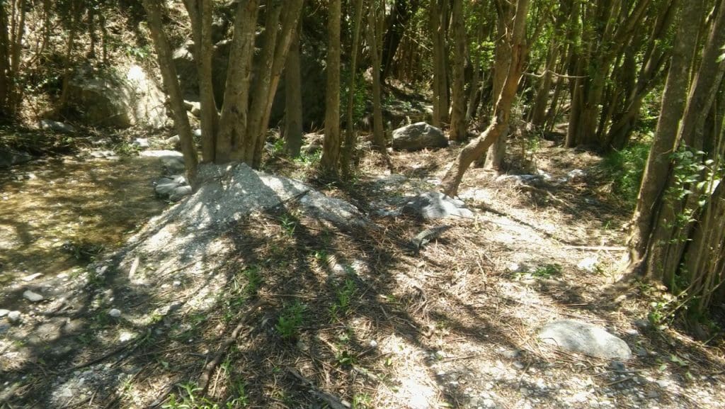 WhatsApp Image 2018 01 04 at 15.22.28 - Diario Resumen de la región