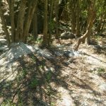 WhatsApp Image 2018 01 04 at 15.22.28 - Diario Resumen de la región