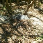 WhatsApp Image 2018 01 04 at 15.22.29 - Diario Resumen de la región