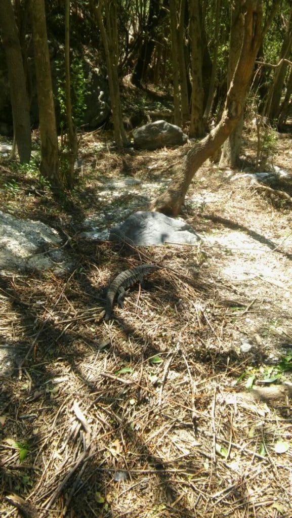 WhatsApp Image 2018 01 04 at 15.22.29 - Diario Resumen de la región