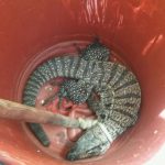 WhatsApp Image 2018 01 04 at 15.22.30 - Diario Resumen de la región