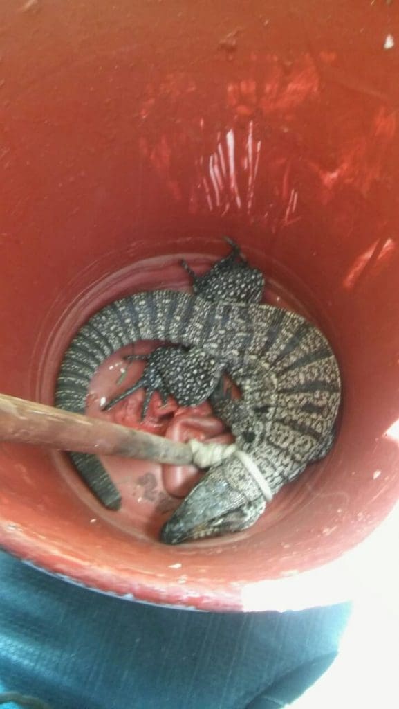 WhatsApp Image 2018 01 04 at 15.22.30 - Diario Resumen de la región