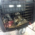 WhatsApp Image 2018 01 06 at 18.15.54 - Diario Resumen de la región