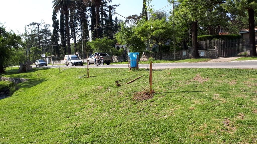 WhatsApp Image 2018 01 11 at 12.00.41 - Diario Resumen de la región