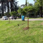 WhatsApp Image 2018 01 11 at 12.00.41 - Diario Resumen de la región