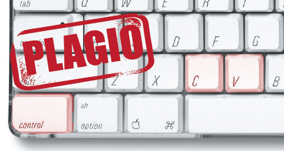 plagio A - Diario Resumen de la región