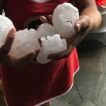 20180208 185545 - Diario Resumen de la región