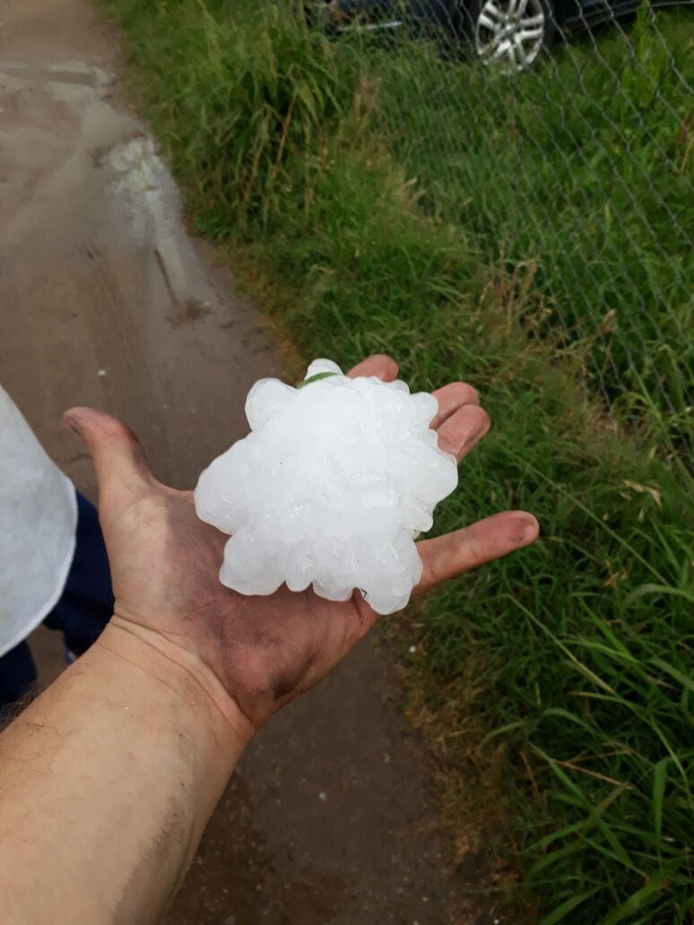 3d6a1720 8626 43df 9d08 71bcfd22eac1 - Diario Resumen de la región