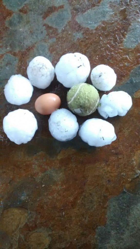 5776be2f 7dd4 4d21 8efd 1258cbd3eb2b - Diario Resumen de la región