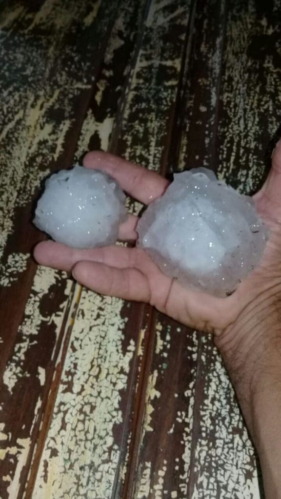 9fce1147 b5f2 4121 a851 98ad37f43baf - Diario Resumen de la región