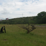 Bomba uno - Diario Resumen de la región