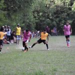 DSC 0003 - Diario Resumen de la región