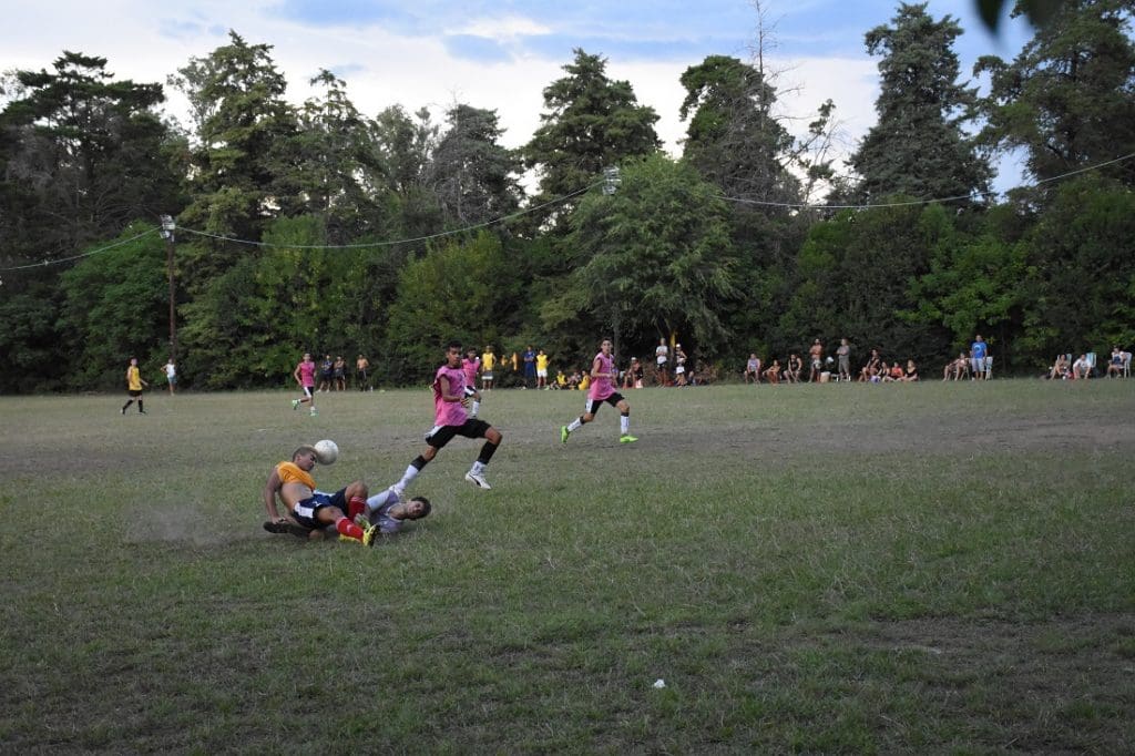DSC 0038 - Diario Resumen de la región