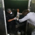 Orina uno - Diario Resumen de la región