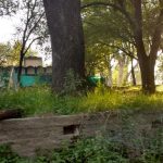 WhatsApp Image 2018 02 08 at 15.06.14 - Diario Resumen de la región