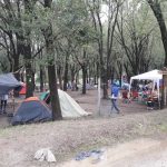 WhatsApp Image 2018 02 09 at 12.07.50 - Diario Resumen de la región