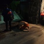 WhatsApp Image 2018 02 11 at 11.16.17 - Diario Resumen de la región