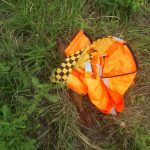 WhatsApp Image 2018 02 19 at 21.23.47 - Diario Resumen de la región