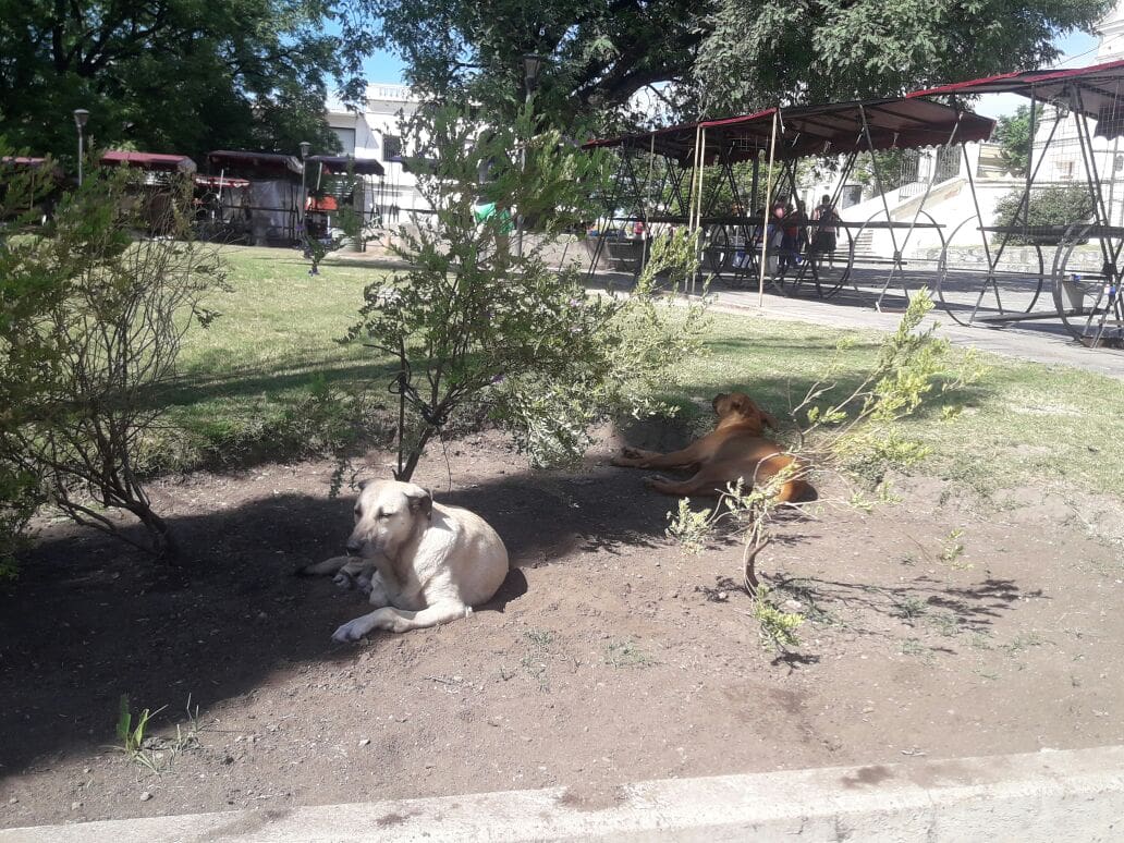 WhatsApp Image 2018 02 20 at 20.24.42 2 - Diario Resumen de la región