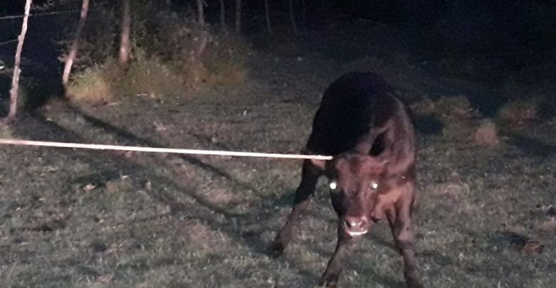 WhatsApp Image 2018 02 28 at 08.56.18 - Diario Resumen de la región