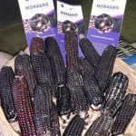 moragro - Diario Resumen de la región