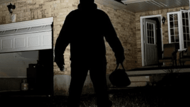 roboA - Diario Resumen de la región