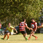 AGR 4 - Diario Resumen de la región